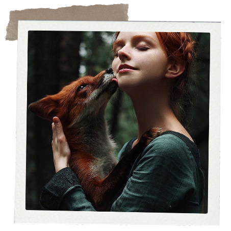 Scopri il tuo Animale Guida Animali Guida