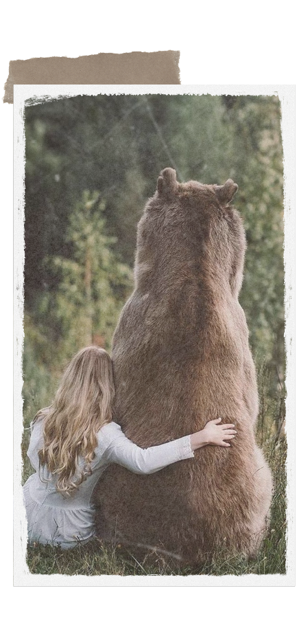 Animali Guida Scopri il tuo Animale Guida