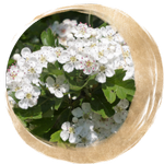 Luna dei Fiori